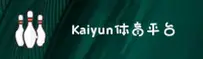 2026KAIYUN买球网 · 专业之选 · A9B2