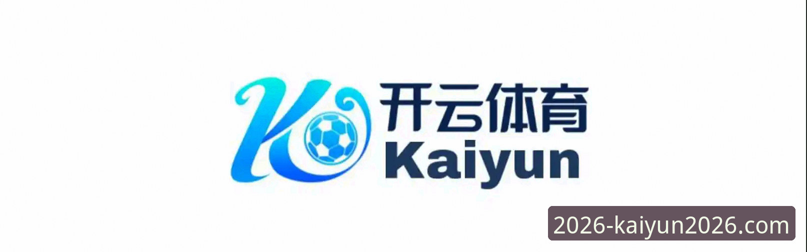 Kaiyun体育平台功能详解与技术评测